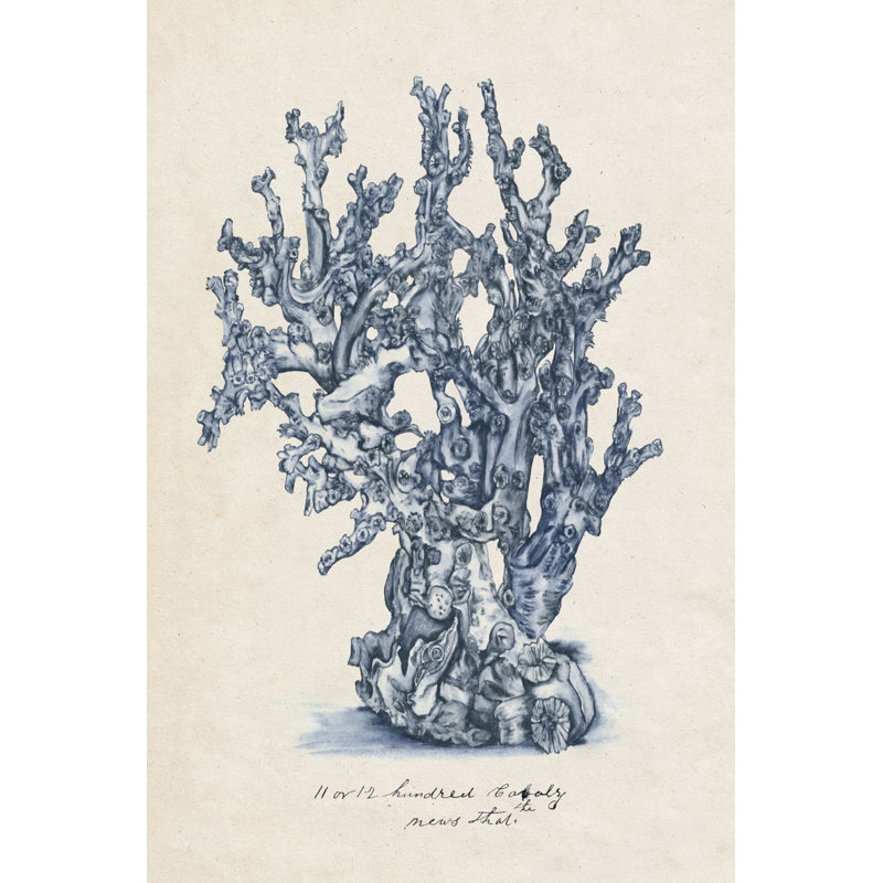 Étude de coraux de mer IV, H 30 po x l 20 po x P 1,25 po