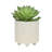S/2 6/8" TEXTURED PLANTERS, SHINY-1086860947
