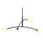 Alisina Iron 4-Light Chandelier