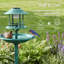 Bain d'oiseaux-129909296