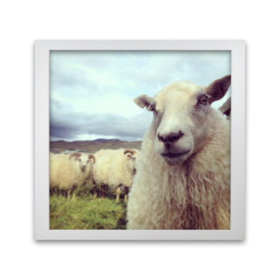 Whats Up 1 Piece Single Picture Frame Wall Art