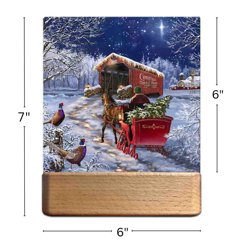 Starry Winter Night LED Nightlight