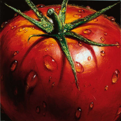 Affiche de tomate par Almach Almach (24 x 24) # ALM4665