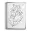 Botanical S croquis I, reproduction encadrée de qualité supérieure - prête à être accrochée-1694086793-1694086807