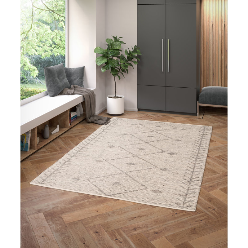 Alaniz Hand Woven Grey Indoor Rug, Rectangle 200cm x 290cm