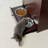 Elevated Feeder