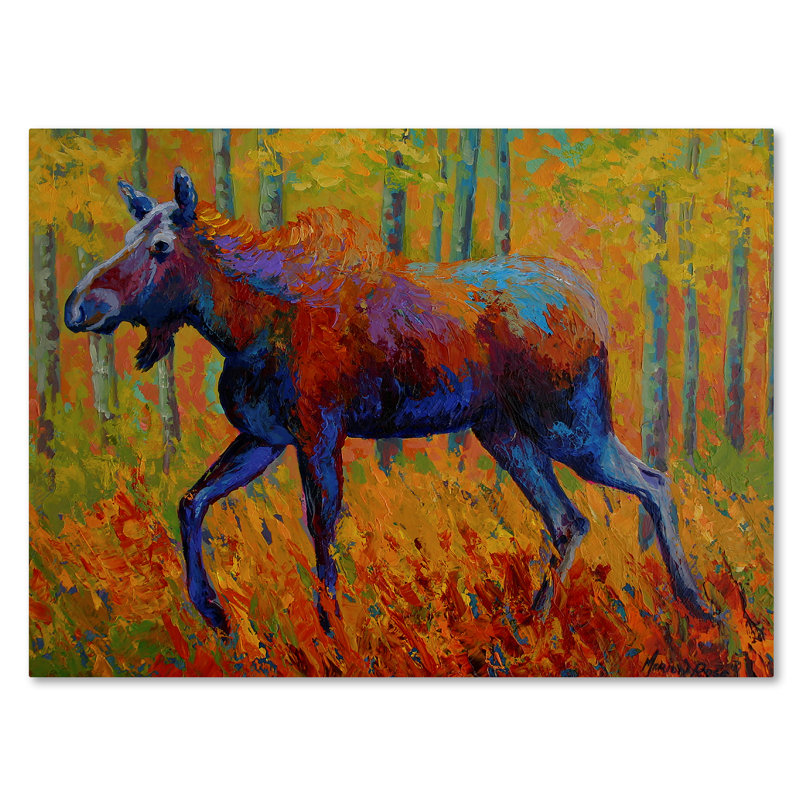 «Cow Moose I» par Kucera, reproduction sur toile tendue, H 14 po x l 19 po