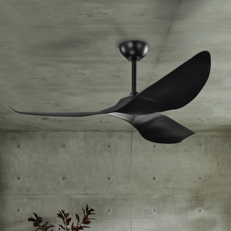 Duncan Modern 3 Bladed Ceiling Fan With Remote, Black, Matte Black