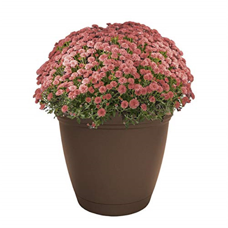 Daekwan Pot Planter, Chocolate, 8.75" H x 10" W x 10" D