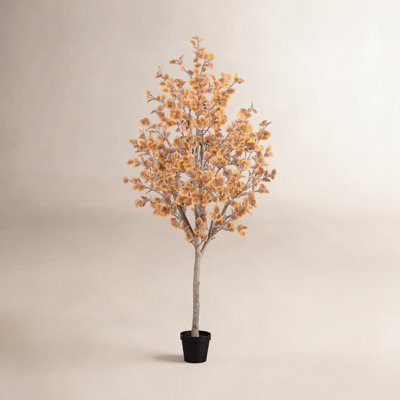 108" Eucalyptus Tree in Nursery Pot