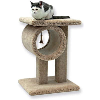 Hammitt 24 " H Cat Scratching Post