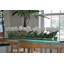 Casa Moderna Glass Plate planter with white Tulips-1721007378