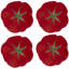 Tomato Earthenware Salad/Dessert Plate