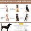 Lit pour chien surélevé de 48 pouces avec auvent pour les aventures en plein air - Lit de camping pour animal de compagnie, tissu respirant protégé, portatif, très grand format pour chiens de 48 po