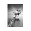 « water tree v » par moises perception-reproduction de photo-49905339-49905324