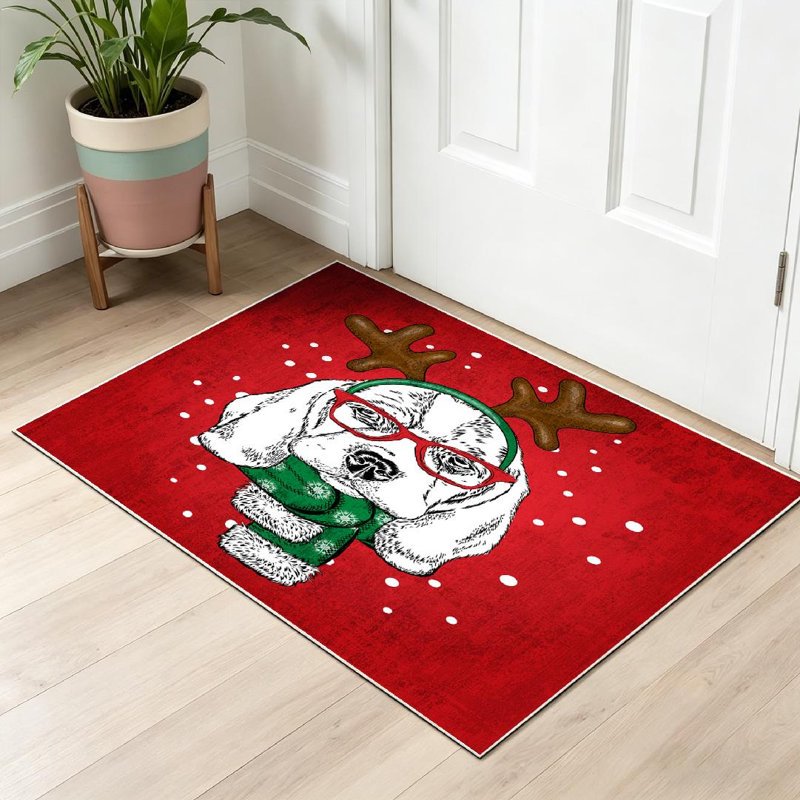 Chien transparent, lavable à la machine, portant des lunettes et un tapis d'intérieur, Rectangle 32 po x 47 po