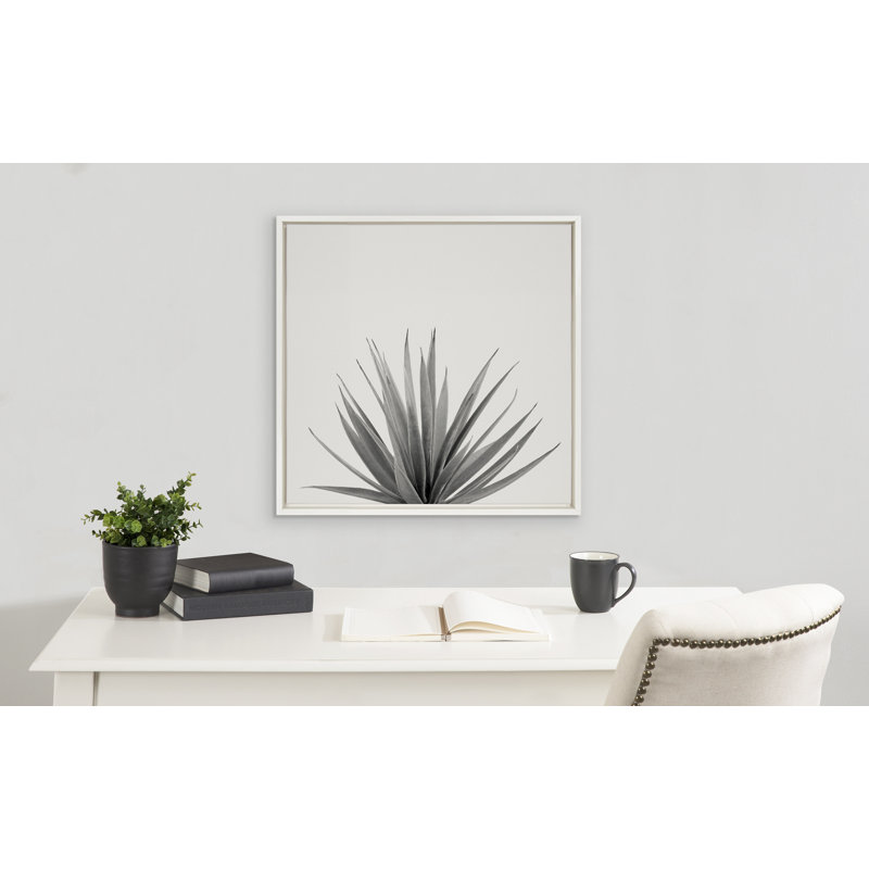 «Sylvie Haze Agave Succulent», toile encadrée par le studio créatif 22 x 22 blanc, Cadre blanc