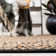 Arria Cape Cod Hand Woven Jute/Cotton Geometric Rug in Black/Natural