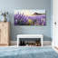 Plants &Flowers Lavender Field With Cottage At Sunset-2056190648