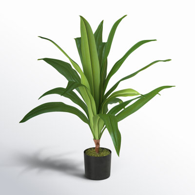 Yardley 36'' Faux Dracaena Plant in Pot