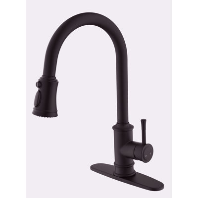 Robinet de cuisine avec douchette extractible