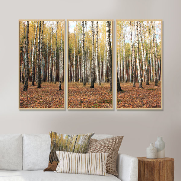 Millwood Pines Beautiful Birch Forest Photography Framed On Canvas 3 ...