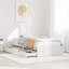 Chamberlan Solid Wood Storage Bed-335035420-335035422