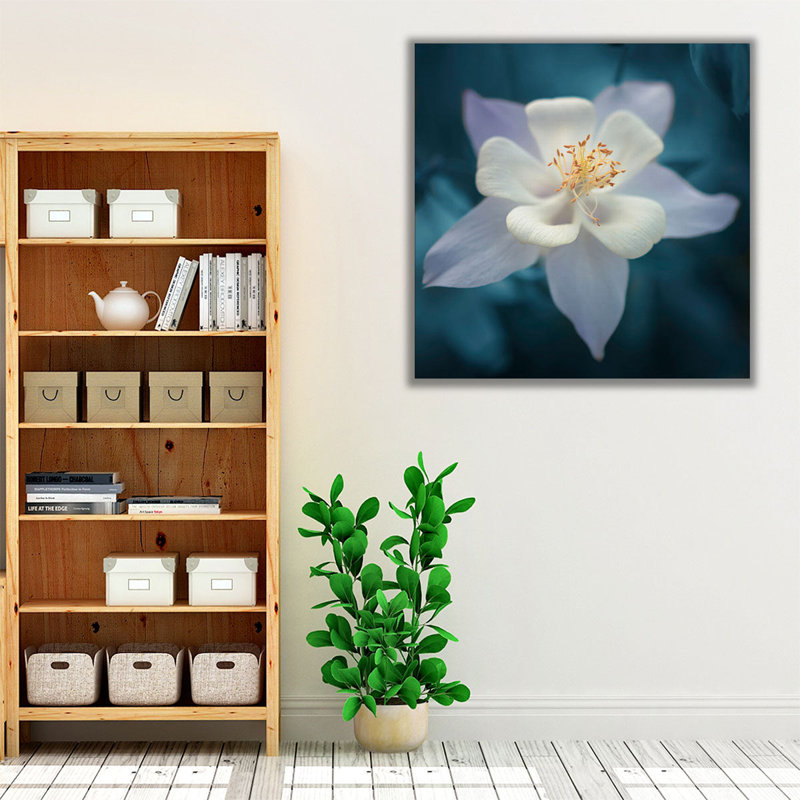 Aquilegia - reproduction d'art sur toile, H 12 po x l 12 po