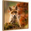 " Fox " by Robert Adamec