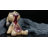 Evil Rabbit Figurine