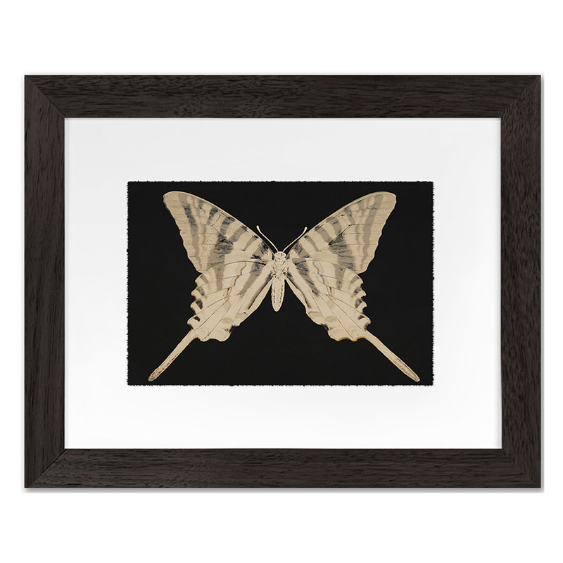 Flutter 8 Print by Todaro, Katie