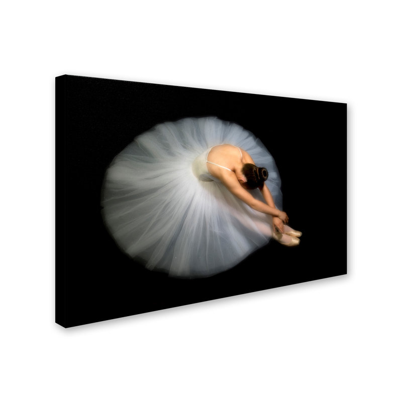« élégance », reproduction de photo sur toile tendue, H 30 po x l 47 po x P 2 po