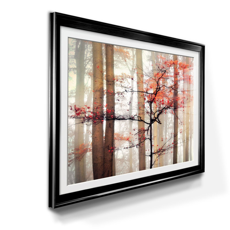Awakening - Cadre photo, impression sur papier, H 22,5 po x l 30,5 po x P 1,5 po, Noir