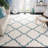 Alonnah Shag Performance Geometric Rug-724592095