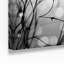 «B and W andentre», impression sur toile-32714520-32714526-32714529