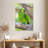 Brampt Turquoise-Fronted Amazon Bird-108633883