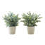 Plante 12,5 po Mcclain