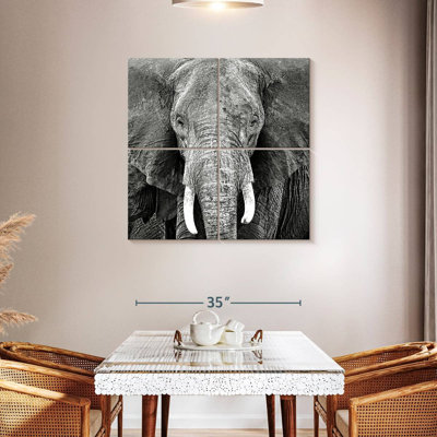 Brampt Elephant Wrinkles