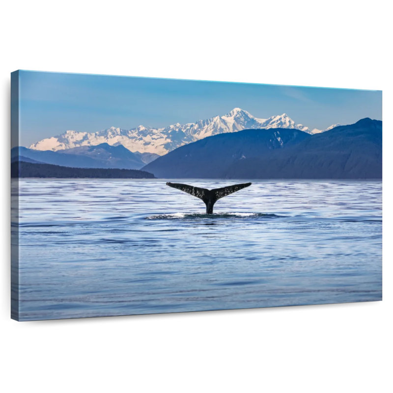 Queue de baleine Gillard, H 26 po x l 39 po