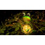 Luminaire solaire Hedaqi Frog