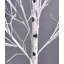 Lighted Trees & Branches-1388953676