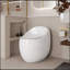 Toilette 1 pièce Luxury