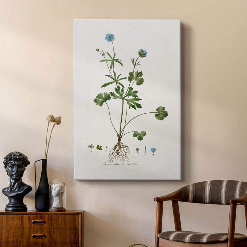 Buttercup Study -Custom Wrapped Gallery Cavas