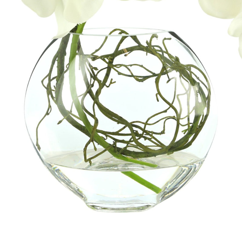 Whisman Orchid Arrangement in Round Glass Vase with Vines, White