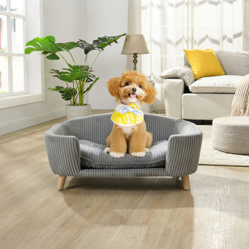 Structure de lit pour chien surélevée pour petit chien, lit en velours côtelé avec pieds en bois d'hévéa et mousse de soutien, gris, assemblage facile