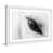 White Framed selected