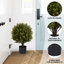 Arbres topiaires Niko 21,6 po avec protection contre les rayons UV Niko