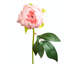 Pink RealTouch Peony