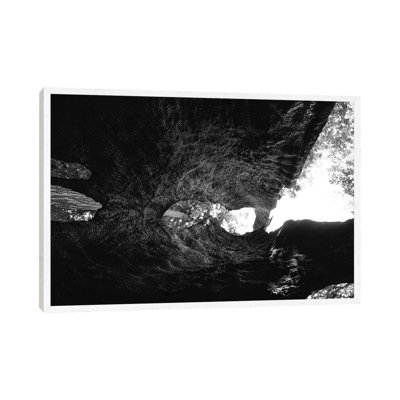 Inside A Redwood Tree by Bethany Young - Print on Canvas
