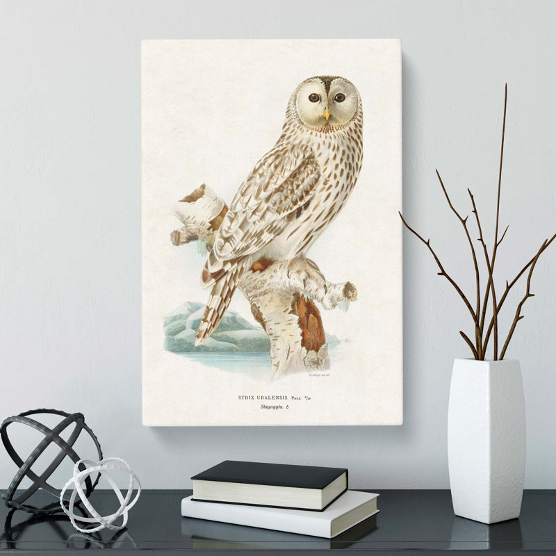 Ural Owl by Von Wright - Wrapped Canvas Painting, 50cm H x 35cm W x 3cm D